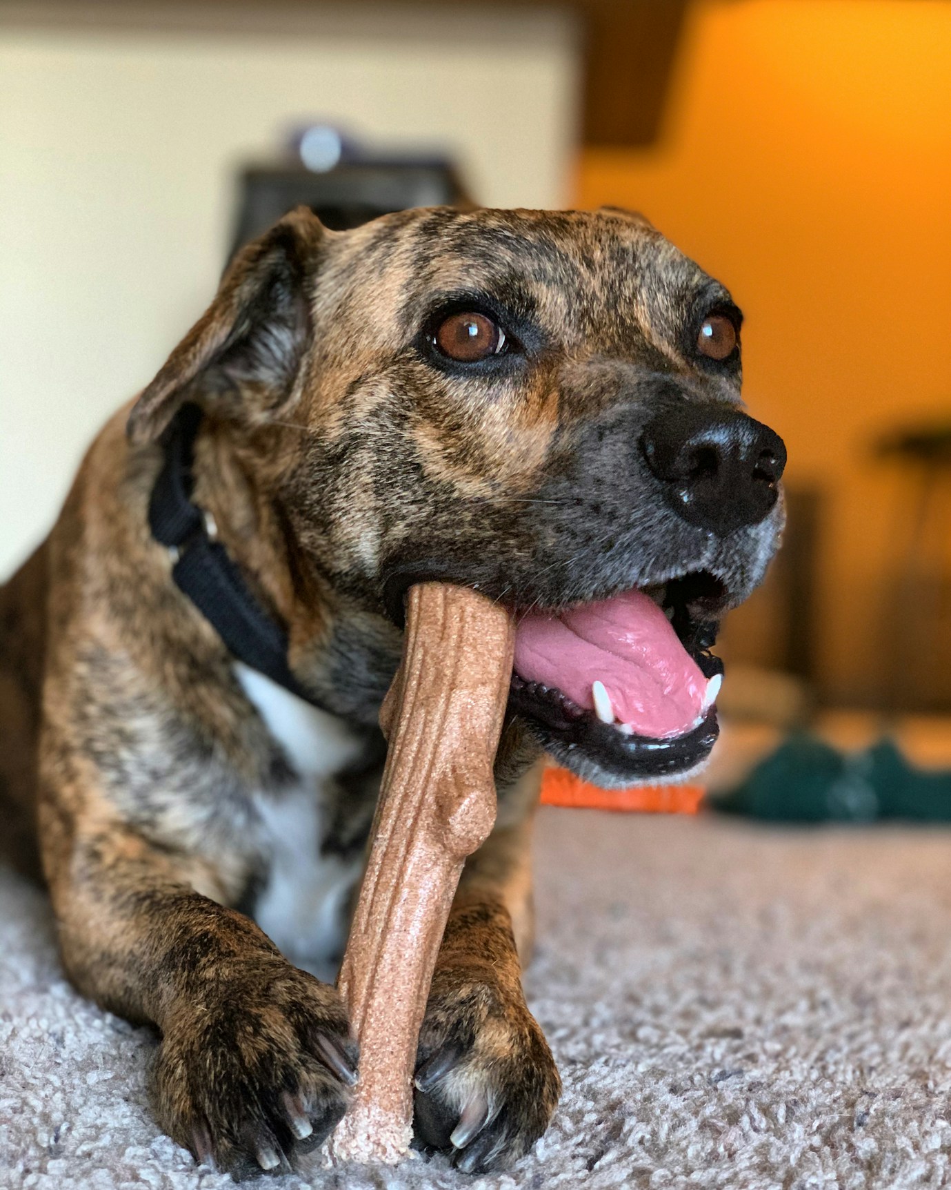 Classic Chew