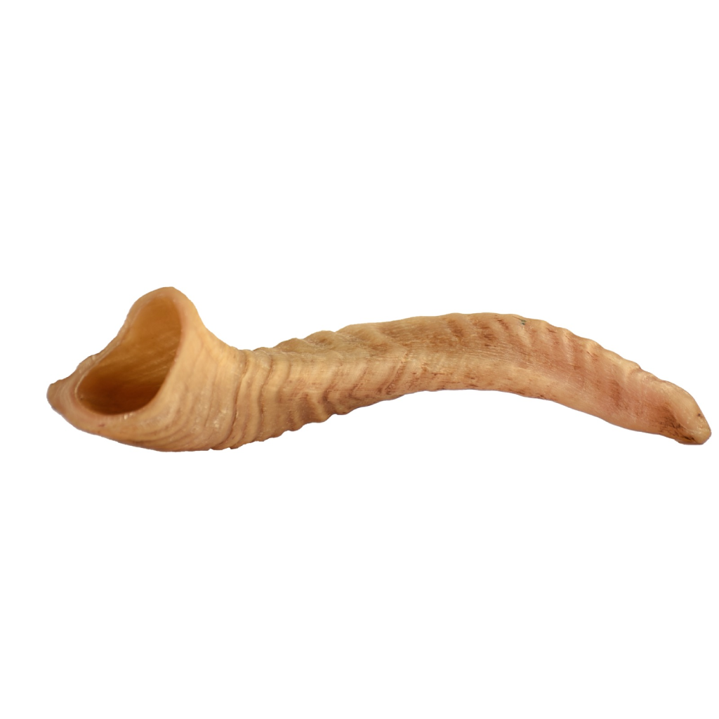 Sheep Horn Gallery Image